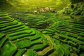 Baguio City