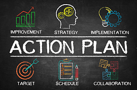 Program Plan Of Action - PPOA